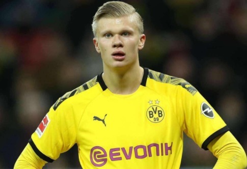 说明成熟球 说明成熟球